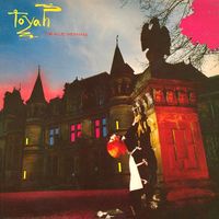 TOYAH ● LP Post-Punk Rock New Wave Musik Group Vinyl Schallplatte Hessen - Darmstadt Vorschau