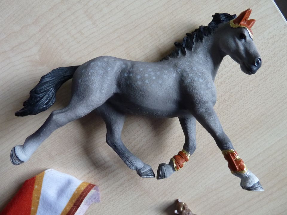 Schleich 42443 Mias Voltigier Reitset, vollständig mit O.-karton in Bergkamen