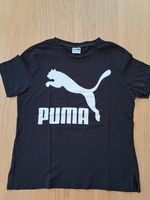 Puma T-Shirt Gr. 38 / M wie NEU Nordrhein-Westfalen - Hamm Vorschau