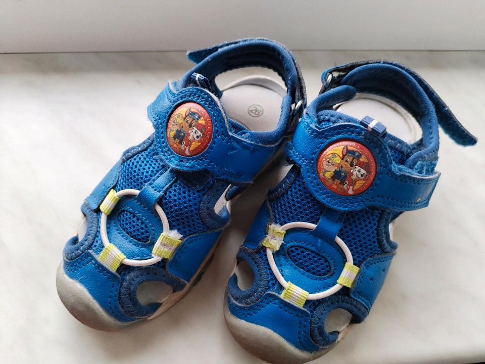 Paw Patrol Sandalen Größe 26 in Heilbad Heiligenstadt