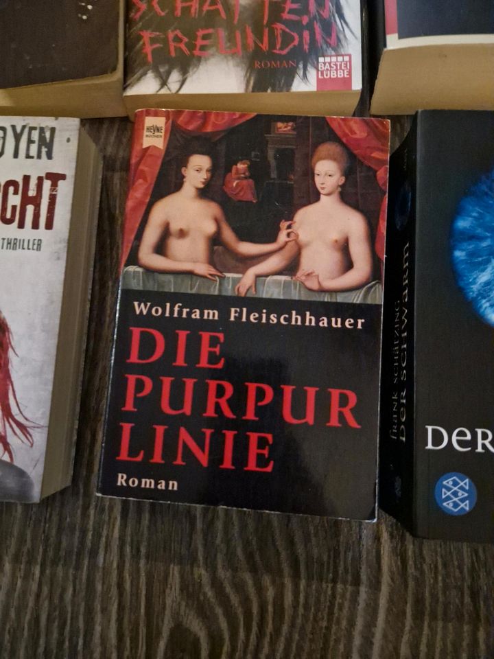 Verschiedene Bücher Thriller in München