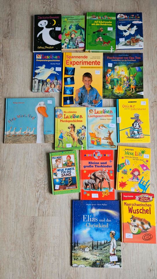 Viele verschiedene Kinderbücher, Leselöwen/wieso weshalb warum... in Nürtingen