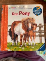 Ravensburger kleines wieso weshalb warum Pony Bayern - Lindau Vorschau