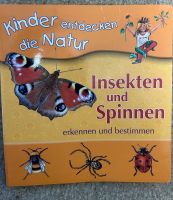 Kinder entdecken die Natur „Insekten und Spinnen“ Niedersachsen - Edewecht Vorschau