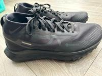 Nike Pegasus Trail 4 GORE-TEX – Trailrunning-Schuhe Gr. 40.5 Saarland - Beckingen Vorschau