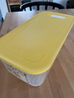 Tupperware Klimaoase 6,1 l Bergedorf - Hamburg Allermöhe  Vorschau