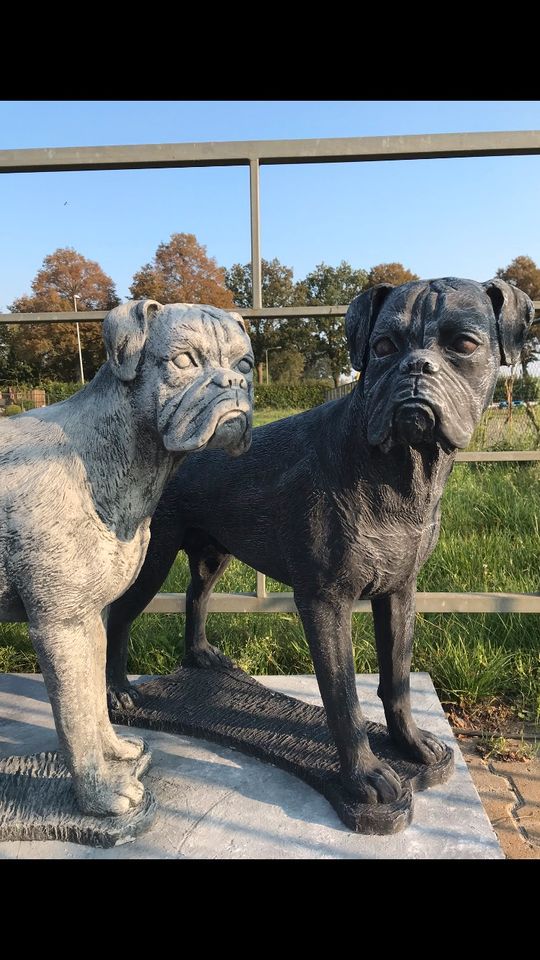 Boxer Lebensgroß 120kg 75cm Hund Steinguss Rüde Welpe Steinfigur in Düsseldorf