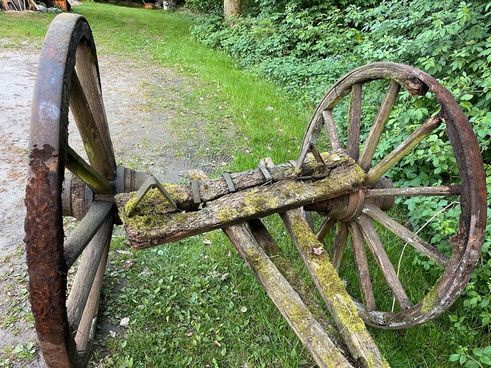 Alte Deichsel, Antik, Deko für den Garten in Lüder