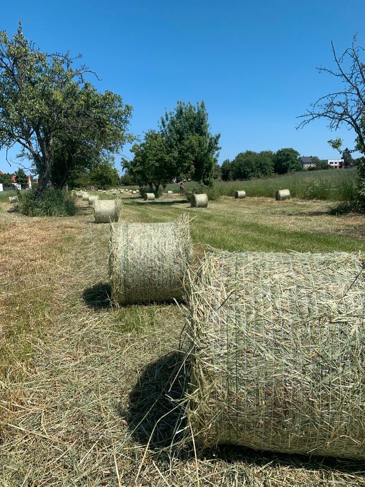 Rundballen Heu aus 06/2023 in Radebeul