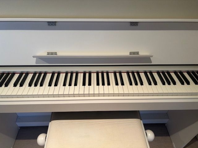 Biete E- Pianao von Yamaha YDP S 52 in Rostock