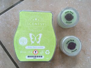 Scentsy Duftwachs Proben – Erster Eindruck – courtofbooksandcandles