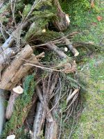 Kamin Holz, Füllmaterial Hochbeet Nordrhein-Westfalen - Willich Vorschau