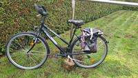 Damenfahrrad  28Zoll Brandenburg - Am Mellensee Vorschau