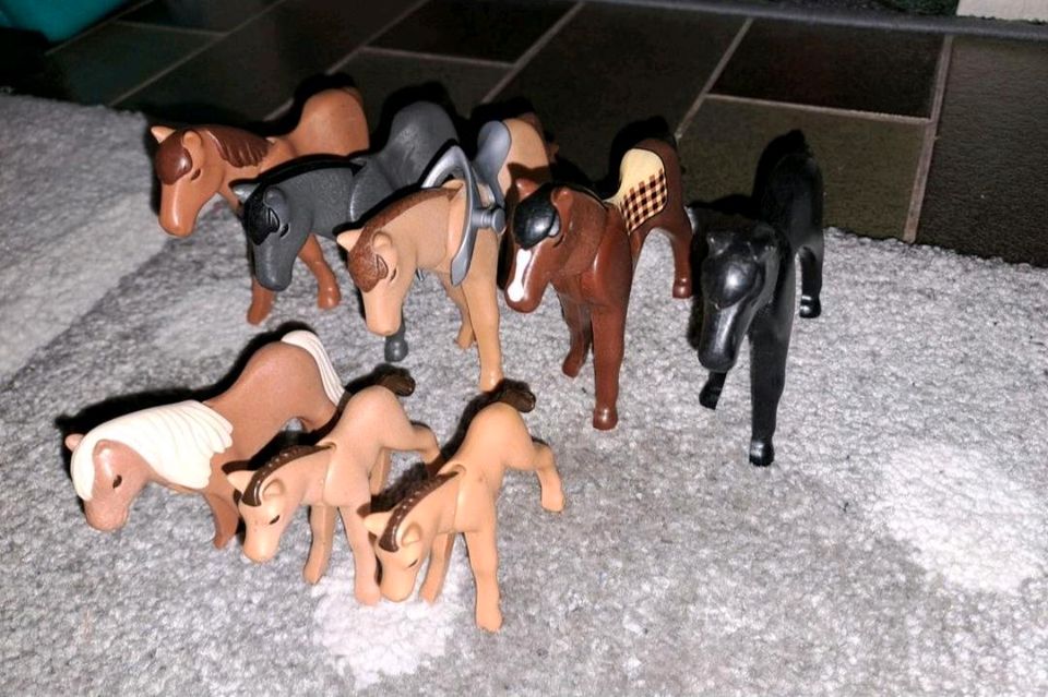 Playmobil Pferde in Offingen