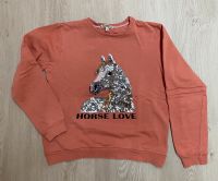 ❤️ Pullover Pulli Sweatshirt Pferd Pailletten BONDI Gr. 152 Brandenburg - Friedrichswalde Vorschau