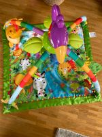 Fisher-Price Rainforest Spielbogen Essen - Essen-Ruhrhalbinsel Vorschau