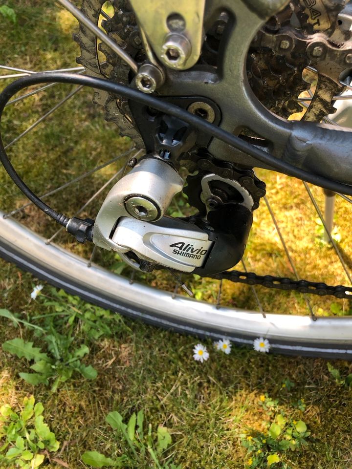 Winona Damenfahrrad Trekking 28 Zoll in Koblenz