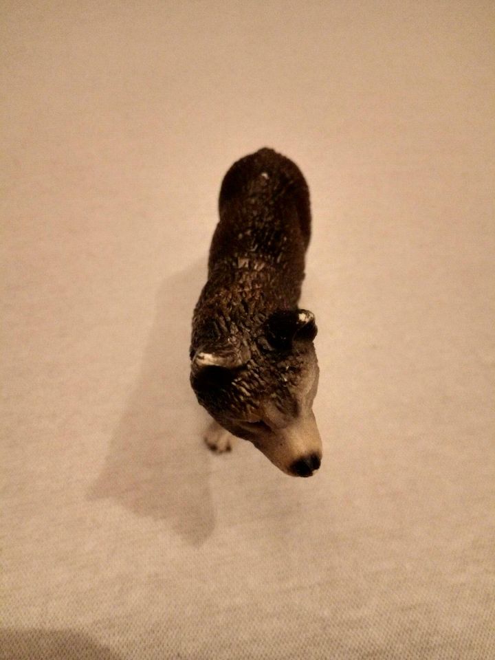 Schleich Wolf in Gehrden