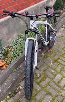 MTB Felt nine 60 Hessen - Kassel Vorschau