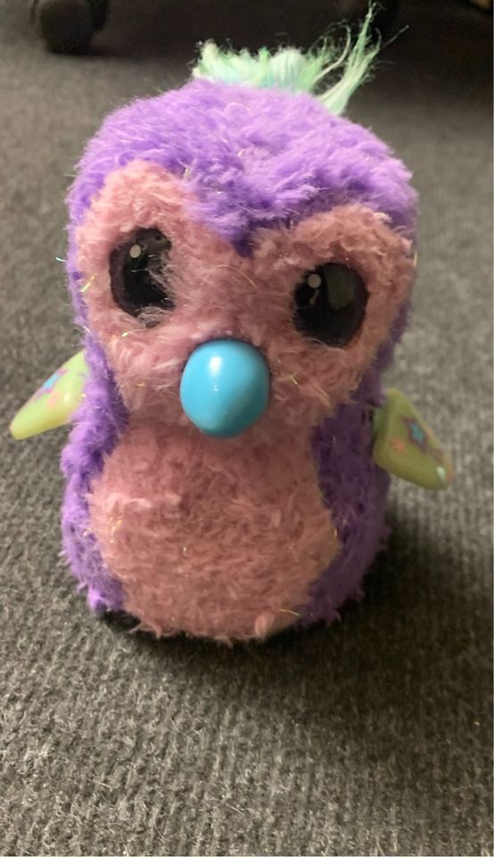 Hatchimal groß in Oberding