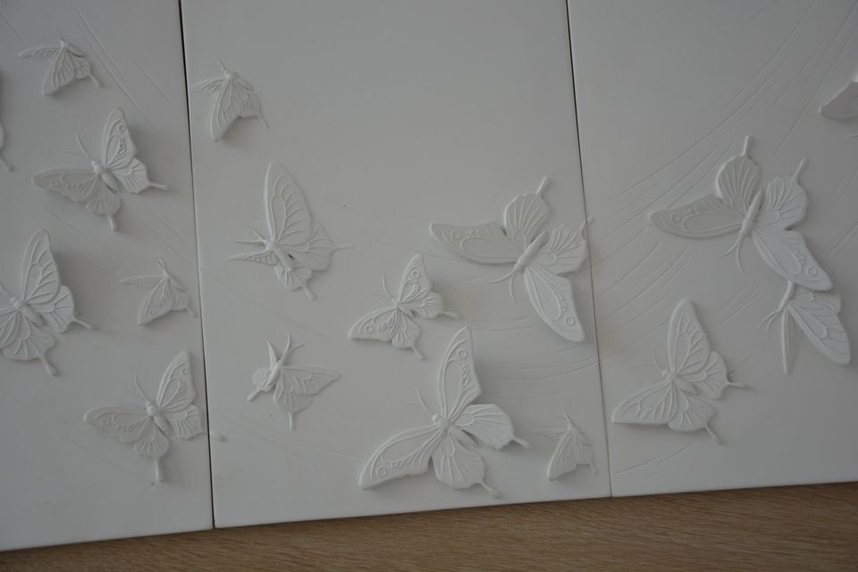 3D Bild Relief Schmetterling in Fulda
