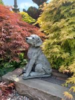 Labrador Hund Steinfigur Tierfigur Gartenfigur Nordrhein-Westfalen - Korschenbroich Vorschau