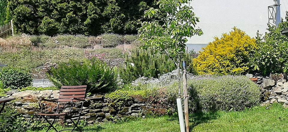 Ferienhaus Landpartie Eifel Koblenz Cochem Trier Nürburgring in Laubach (Eifel)