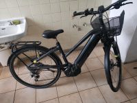 Kettler E-Bike+3-Jahre 1700€ Versicherung+Powunity GPS Tracker Frankfurt am Main - Bockenheim Vorschau