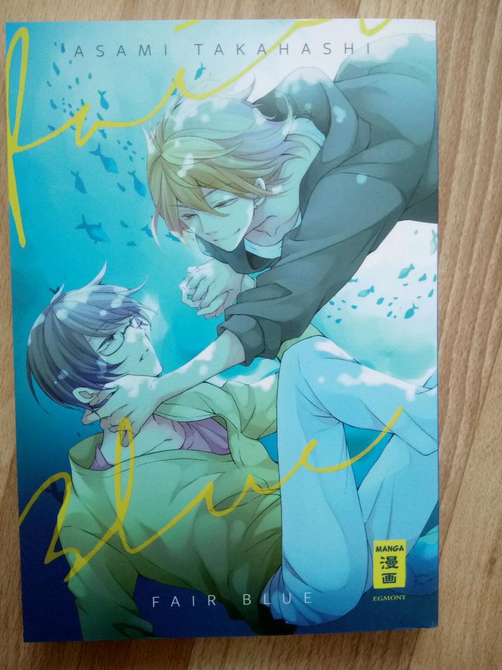 Fair Blue Manga Boys Love Yaoi 1. Auflage neu Romantik in Leutenberg