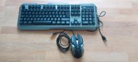 Gaming Tastatur und Maus Bayern - Regensburg Vorschau