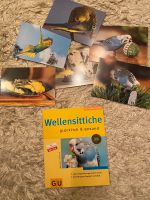 Wellensittiche Buch GU Tierratgeber mit Postkarten NEU Bayern - Rosenheim Vorschau