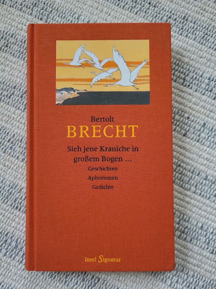 Sieh jene Kraniche in großem Bogen ‐ Bertolt Brecht in Markkleeberg