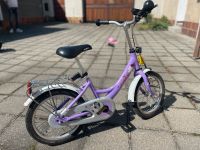 Pucky Fahrrad Sachsen - Wittichenau Vorschau