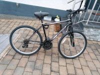 Fahrrad 26 Zoll Rheinland-Pfalz - Speicher Vorschau