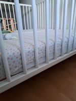 Baby- Kleinkindbett zu verkaufen Nordrhein-Westfalen - Recklinghausen Vorschau