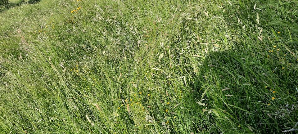 Heu ab Wiese in Schlüchtern