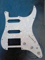 Stratocaster Pickguard mit Potis und Schalter Potsdam - Babelsberg Nord Vorschau