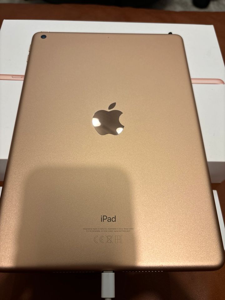 iPad 128GB 6. Gen WiFi rosé Gold top Zustand + Apple Pen in Leipzig