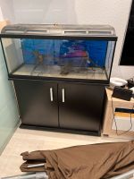 Aquarium mit Unterschrank (schwarz) 160L Nordrhein-Westfalen - Erkelenz Vorschau