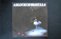 Vinyl A Flock Of Seagulls – Never Again (The Dancer)  Single Schleswig-Holstein - Bad Bramstedt Vorschau