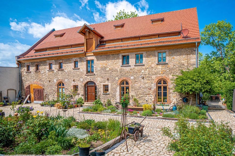 Ferienwohnung mit Pool im Selketal/Harz in Meisdorf