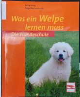 Was ein Welpe lernen muss - Die Hundeschule Nordrhein-Westfalen - Wegberg Vorschau