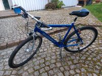 Trekkingrad Mountainbike Herrenfahhrad 28 zoll Baden-Württemberg - Gaildorf Vorschau