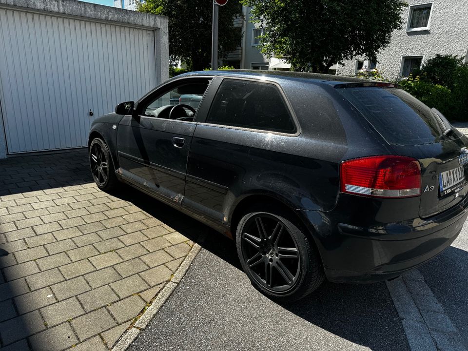 Audi a3 8p in Altdorf