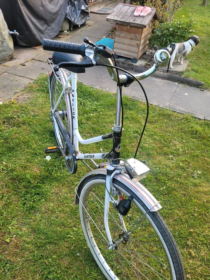 26er Panther Damenfahrrad 3-Gang Torpedo in Wolfenbüttel