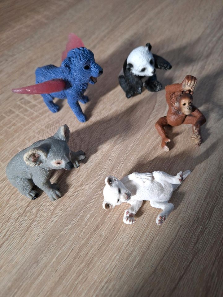 Schleich Tiere Koala Panda Affe Löwe in Walpernhain