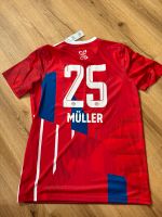 Bayern Sondertrikot 10 Jahre deutscher Meister L Müller Bayern - Perkam Vorschau