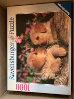 6 Puzzle Hunde Blumen Obst Kirche 1000 1500 500 750 Teile Bayern - Waldsassen Vorschau