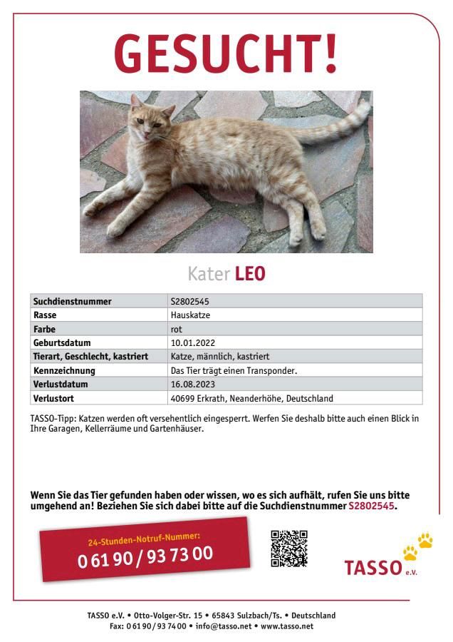 Kater LEO gesucht in Erkrath