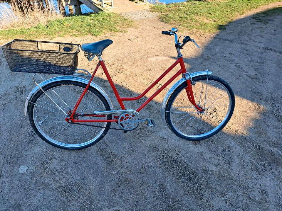 Fahrrad 26 Zoll diamant ddr in Altentreptow